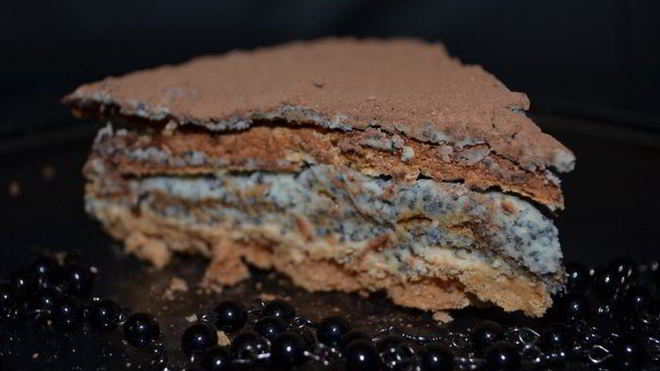 Рецепт торта-безе с маково-сливочным кремом