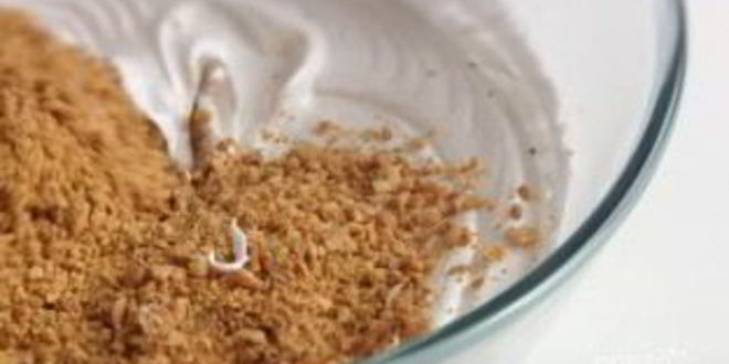 Рецепт торта-безе с масляным кремом