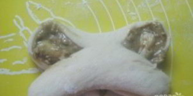 Рецепт булочек облитых халвой