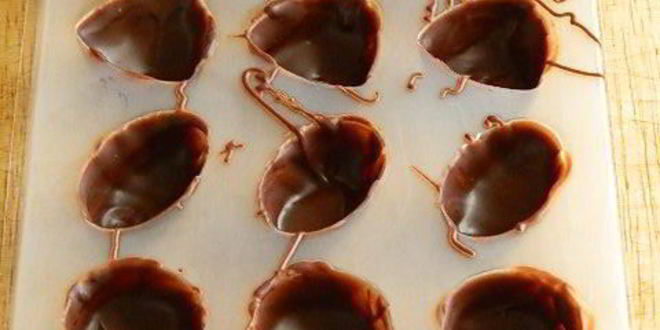 Рецепт шоколадных конфет с творожным сыром