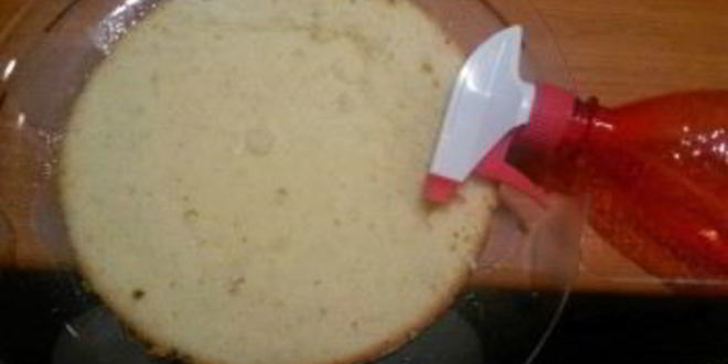 Рецепт бисквитна-кремового торт