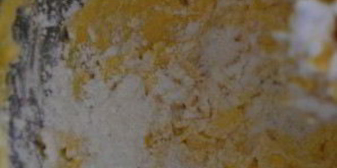 Рецепт крема для бисквитного торта