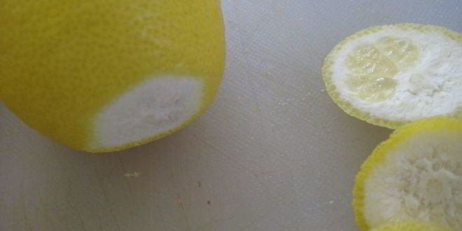 Рецепт лимонов, фаршированных кремом из тунца