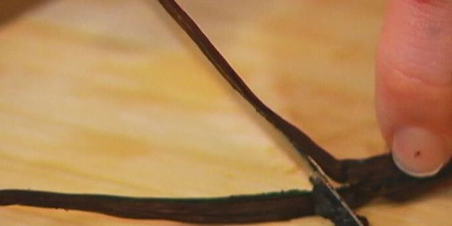 Рецепт сливочного крема с медом и ванилью