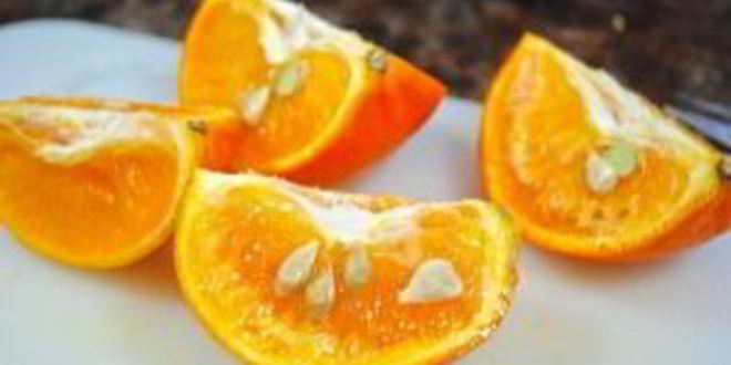 Рецепт мармелада из кумквата