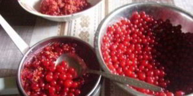 Рецепт мармелада из ягод