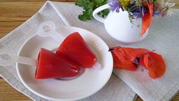 Рецепт Мороженого из сока