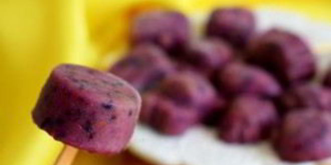 Рецепт мороженого с шелковицей