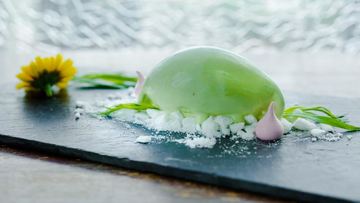 Рецепт Тархунового мороженого