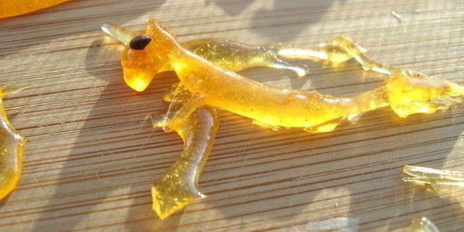 Рецепт ванильного мороженого и груша-пашот сладкая парочка