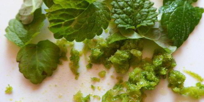 Рецепт мусса из авокадо с клубникой и шоколадом