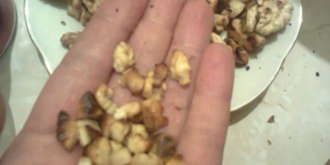 Рецепт мусса из сухофруктов и орехами