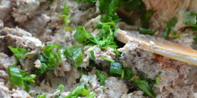 Рецепт мусса из тунца на абрикосах