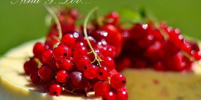 Рецепт творожного торта-мусса с ягодами в белом шоколаде