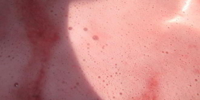 Рецепт ягодного мусса