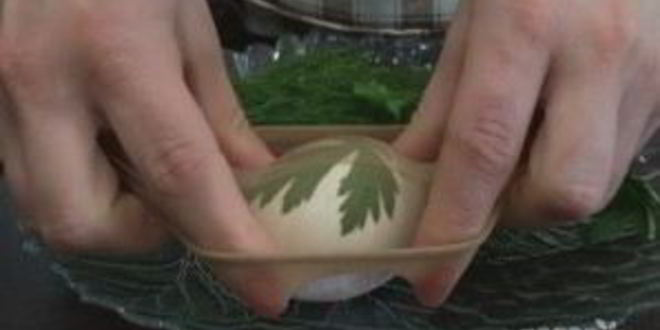 Рецепт простой покраски пасхальных яиц