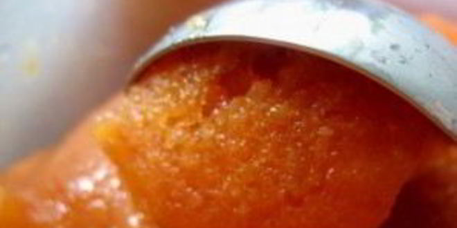 Рецепт абрикосового щербета