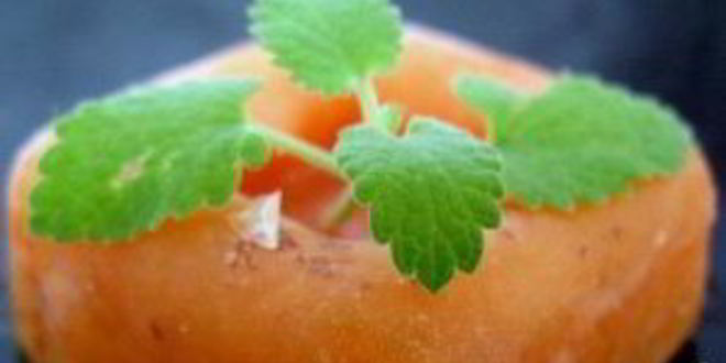 Рецепт абрикосового щербета