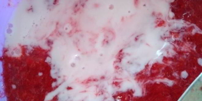 Рецепт клубничного щербета