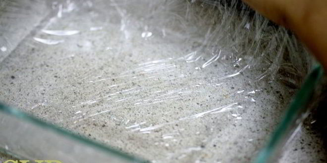 Рецепт тирамису дарси