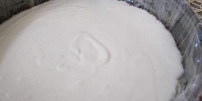 Рецепт торта-мороженого тирамису