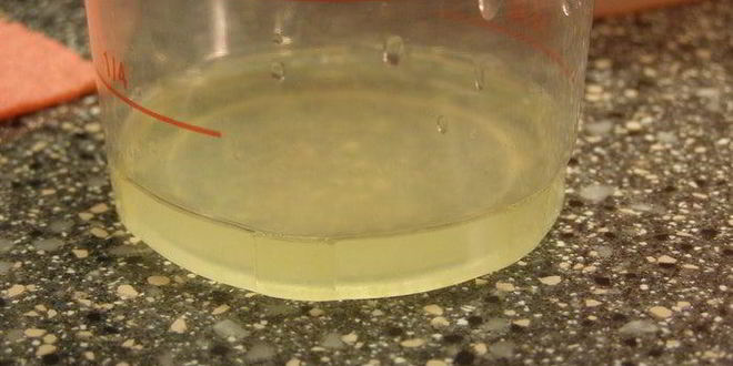 Рецепт брусничного зефира с малиновым соусом