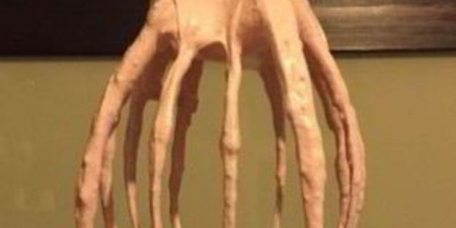 Рецепт вишневого зефира