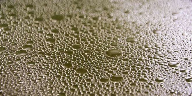 Рецепт бешбармака по-казахски