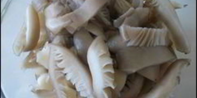 Рецепт картофельных драников с мясом под грибным соусом