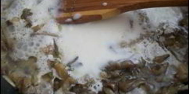 Рецепт картофельных драников с мясом под грибным соусом