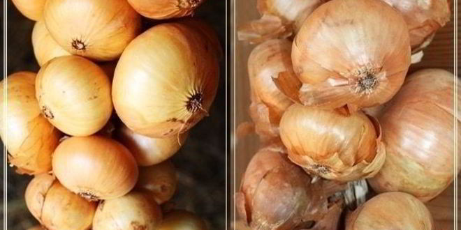 Рецепт форшмака имени сырожиной бабушки