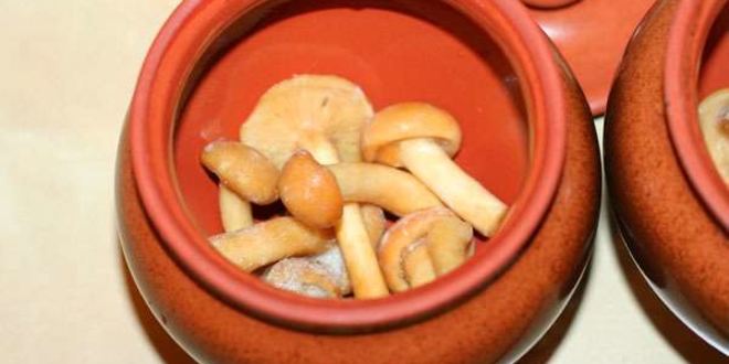 Рецепт грибов с фрикадельками в горшочках