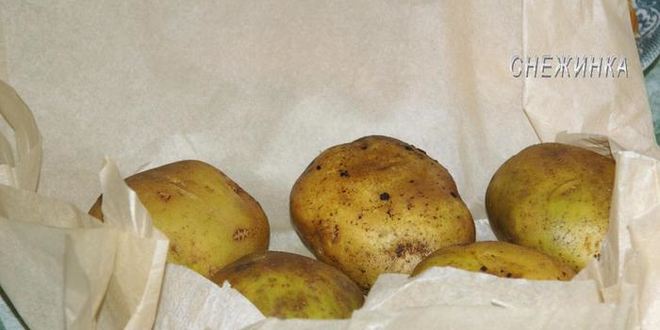 Рецепт печеного картофеля по-французски