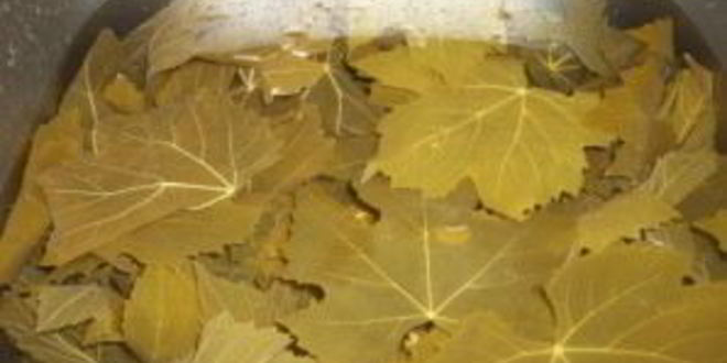 Рецепт армянской долмы