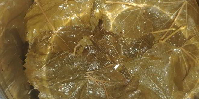 Рецепт азербайджанской долмы в виноградных листьях