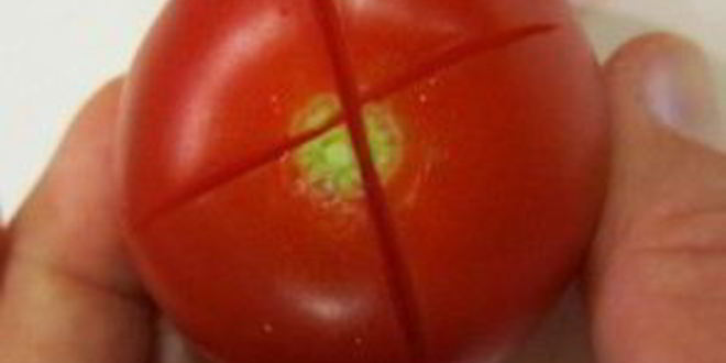 Рецепт долмы без мяса