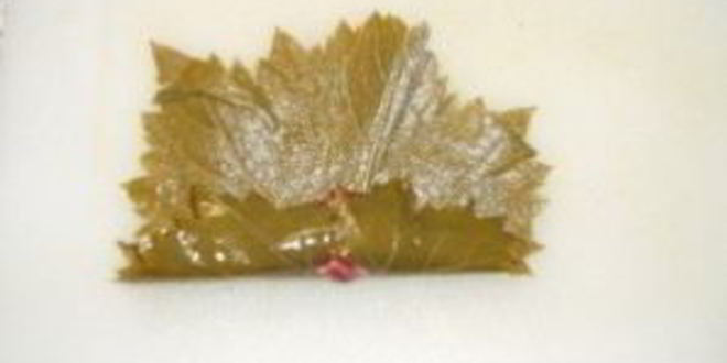 Рецепт долмы в мультиварке панасоник