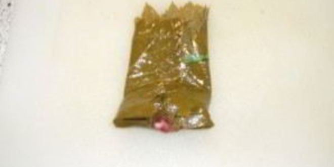 Рецепт долмы в мультиварке панасоник