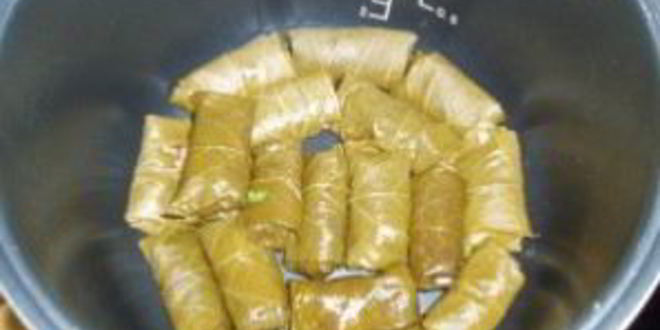 Рецепт долмы в мультиварке панасоник