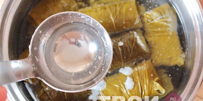 Рецепт долмы в виноградных листьях