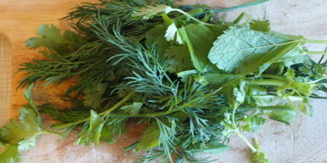 Рецепт долмы