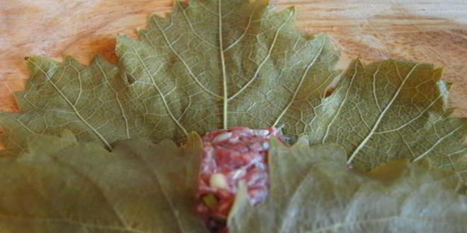 Рецепт долмы