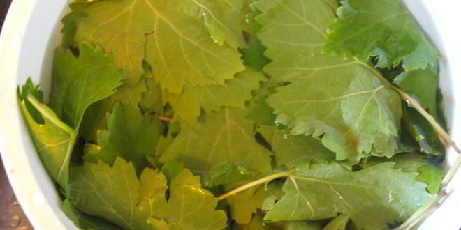 Рецепт долмы