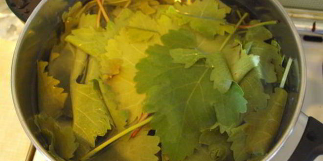 Рецепт долмы