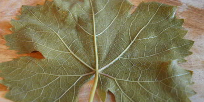 Рецепт долмы