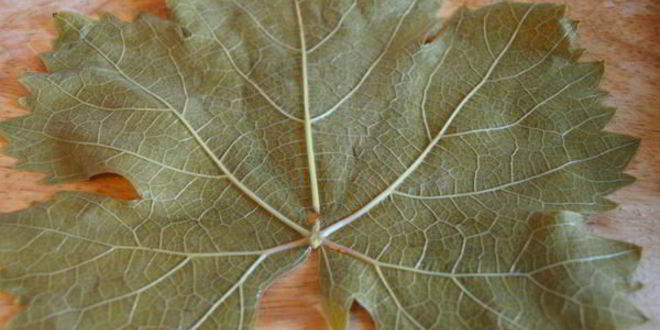 Рецепт долмы