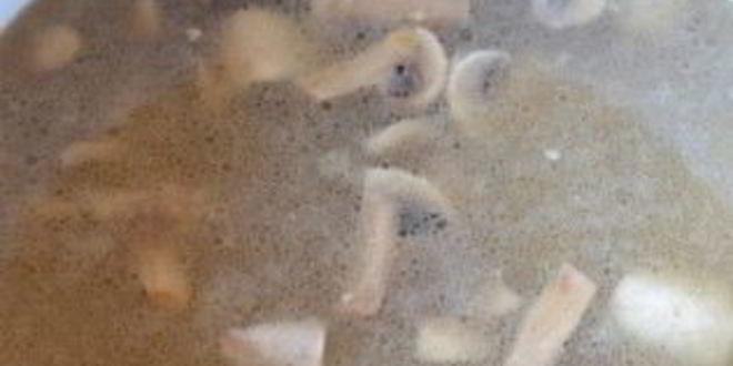 Рецепт грибной лапши