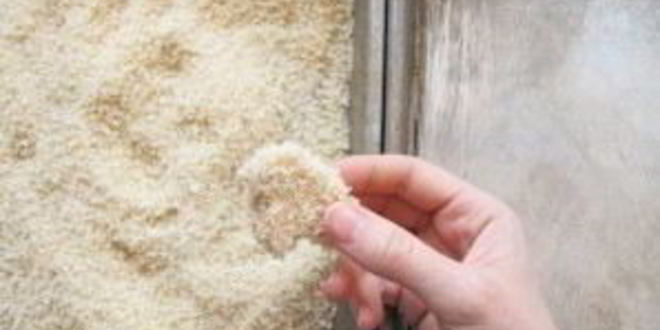 Рецепт грибов в панировке