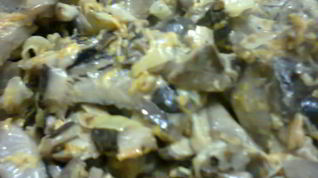 Рецепт Грибов в сметане
