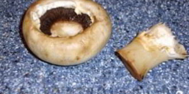 Рецепт шампиньонов фаршированных в духовке